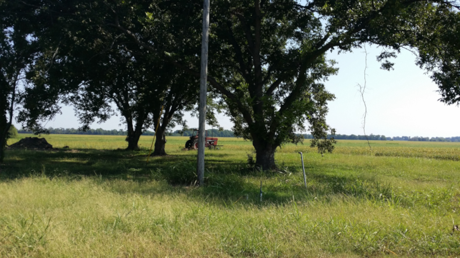 Mayersville Ms, Henderson, Ferguson, Kline, Lee, Clark, Steen, Johnson, Hudson, ...